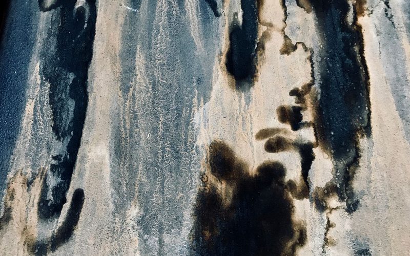 Close-up of dark mold staining an interior wall