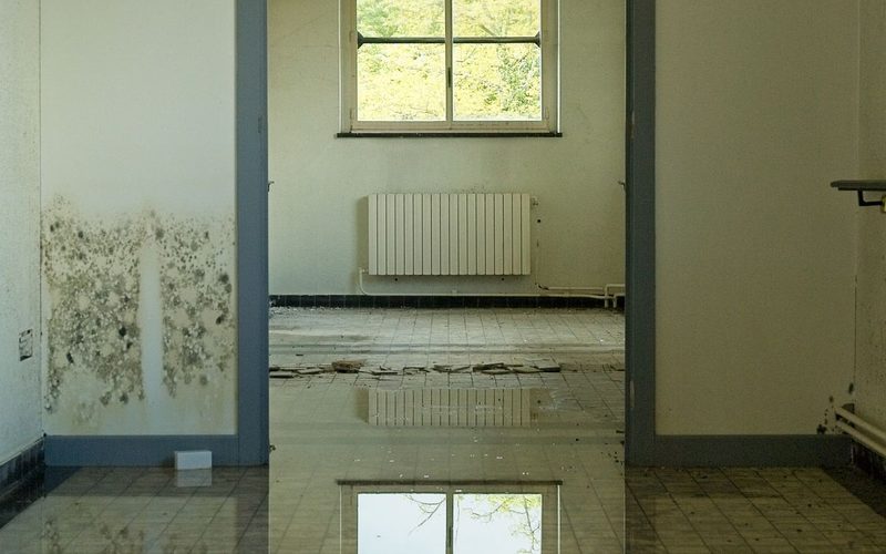 Interior room flooded with standing water on the floor